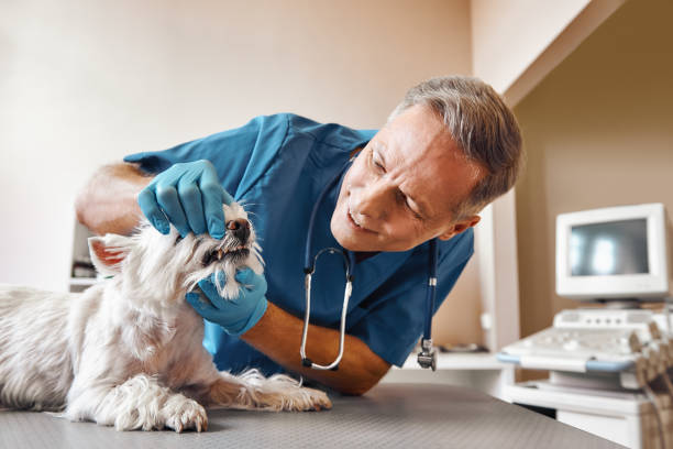 , WI Emergency Dentist Company